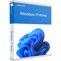 Microsoft Windows 11  (Windows 11 Home)