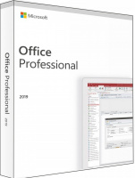 Microsoft Office 2019  (Professional 2019)