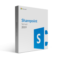 Microsoft SharePoint Server 2019 (Perpetual License)Commercial